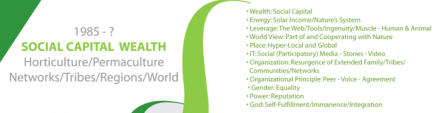 Social capital wealth_ robert paterson