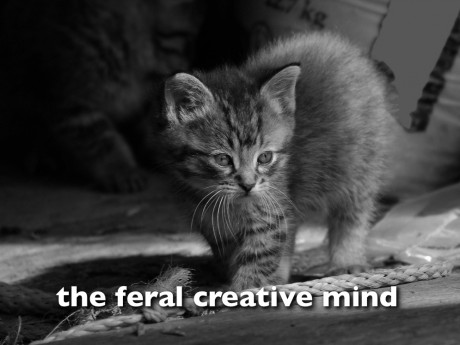 feral creative mind