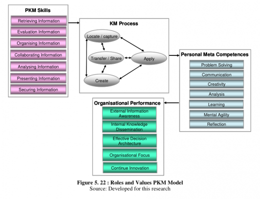 PKM Roles Values Ricky Ceong 2011